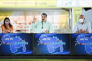 Venezuela garantiza la producción de trigo para la elaboración de alimentos