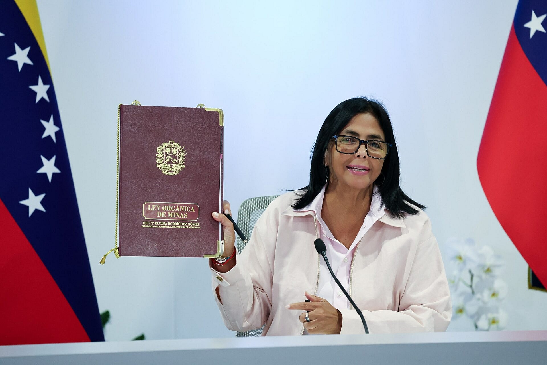 Presidenta (E) Delcy Rodríguez promulga Ley Orgánica de Minas