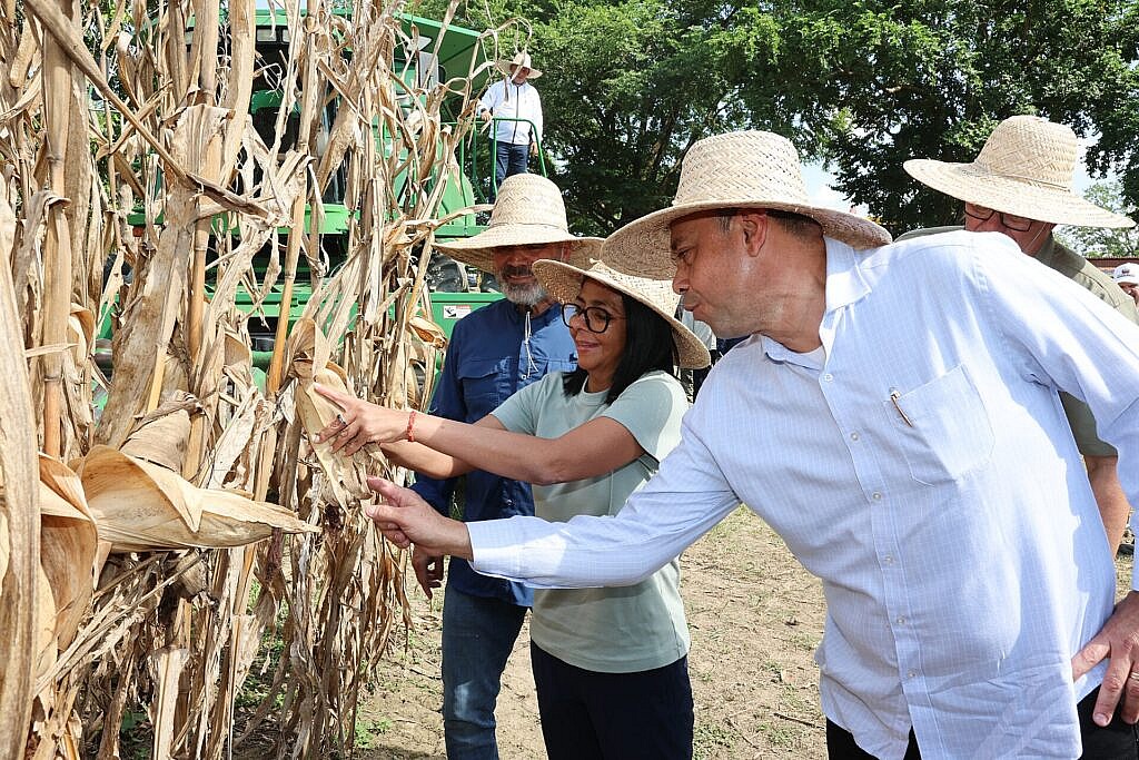 Presidenta Delcy Rodríguez, lideró inicio formal del Plan Cosecha de Maíz del ciclo invierno